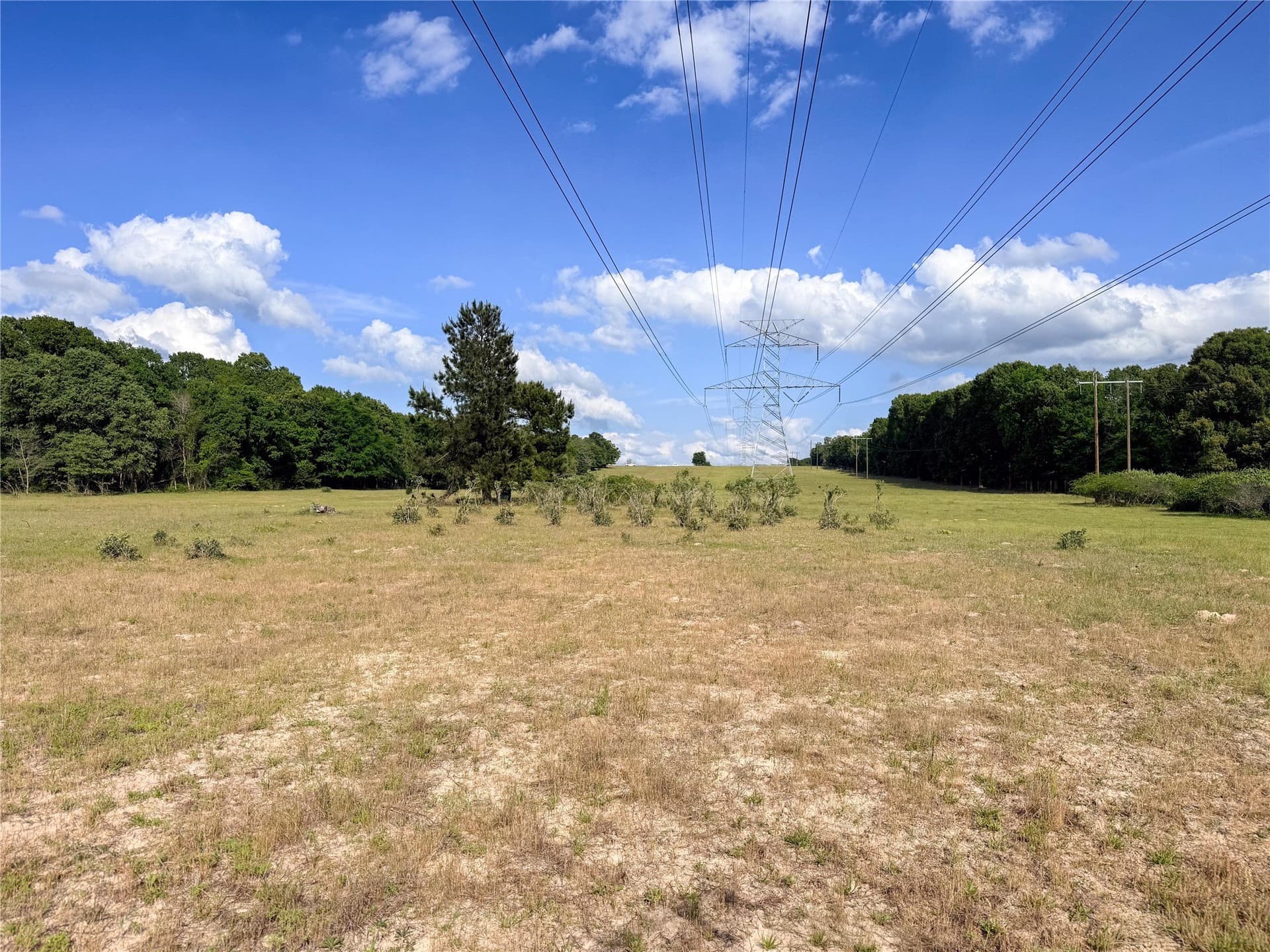 40 acres in Henderson County - photo 19