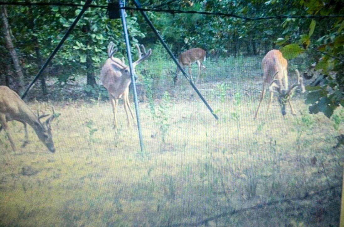 40 acres in Henderson County - photo 37