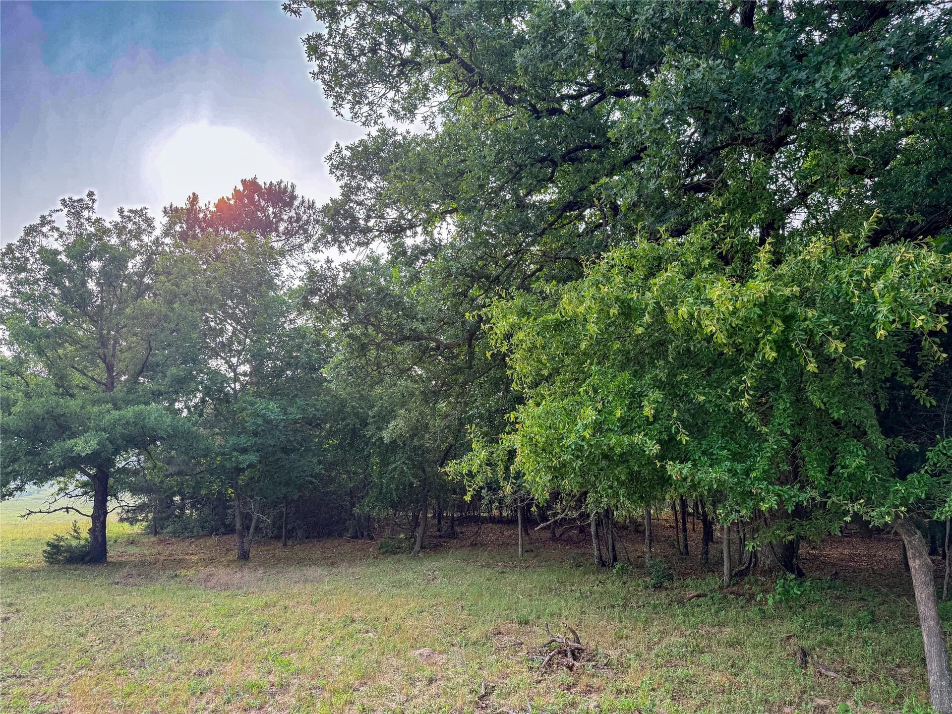 40 acres in Henderson County - photo 25
