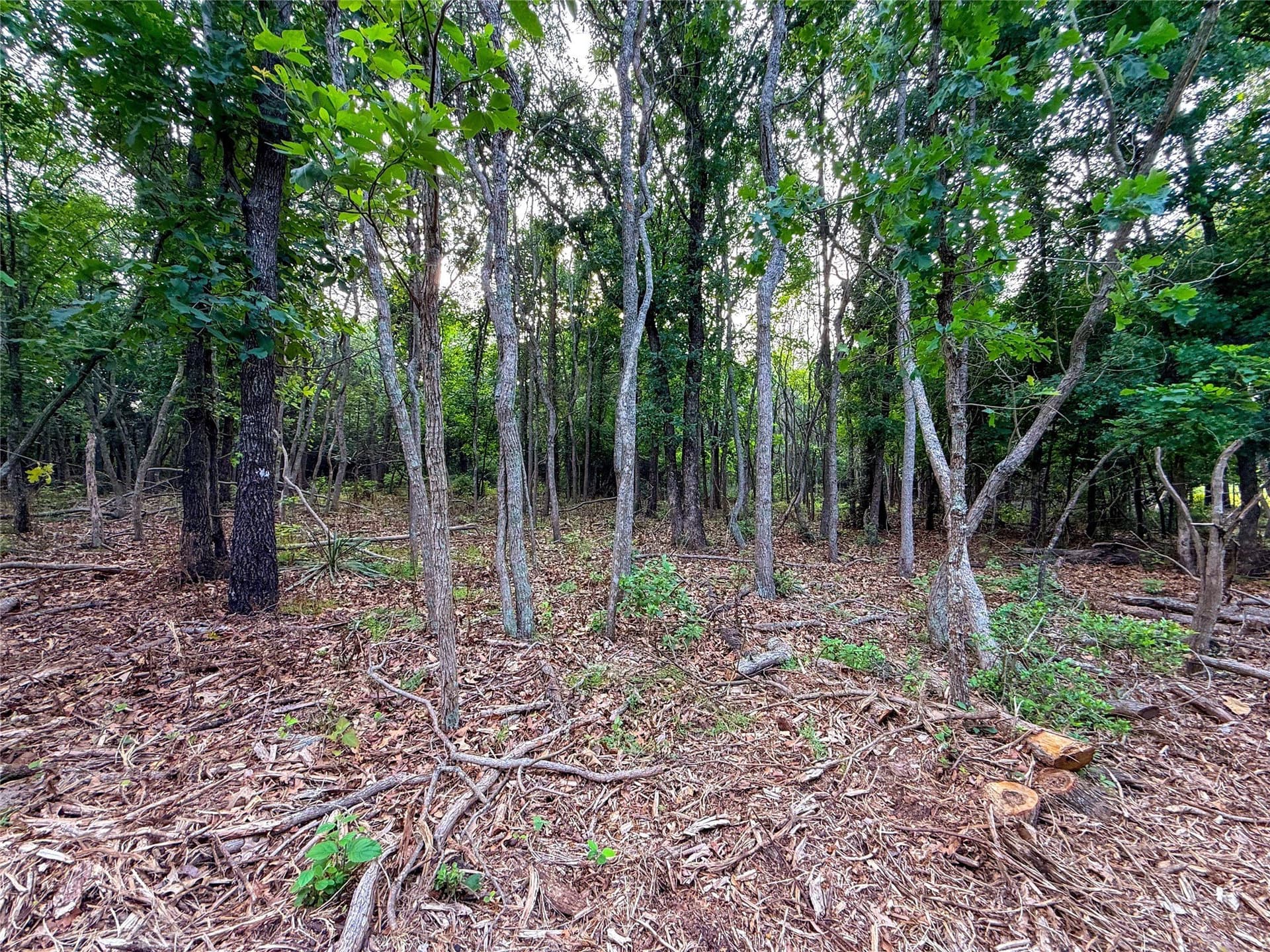 40 acres in Henderson County - photo 31