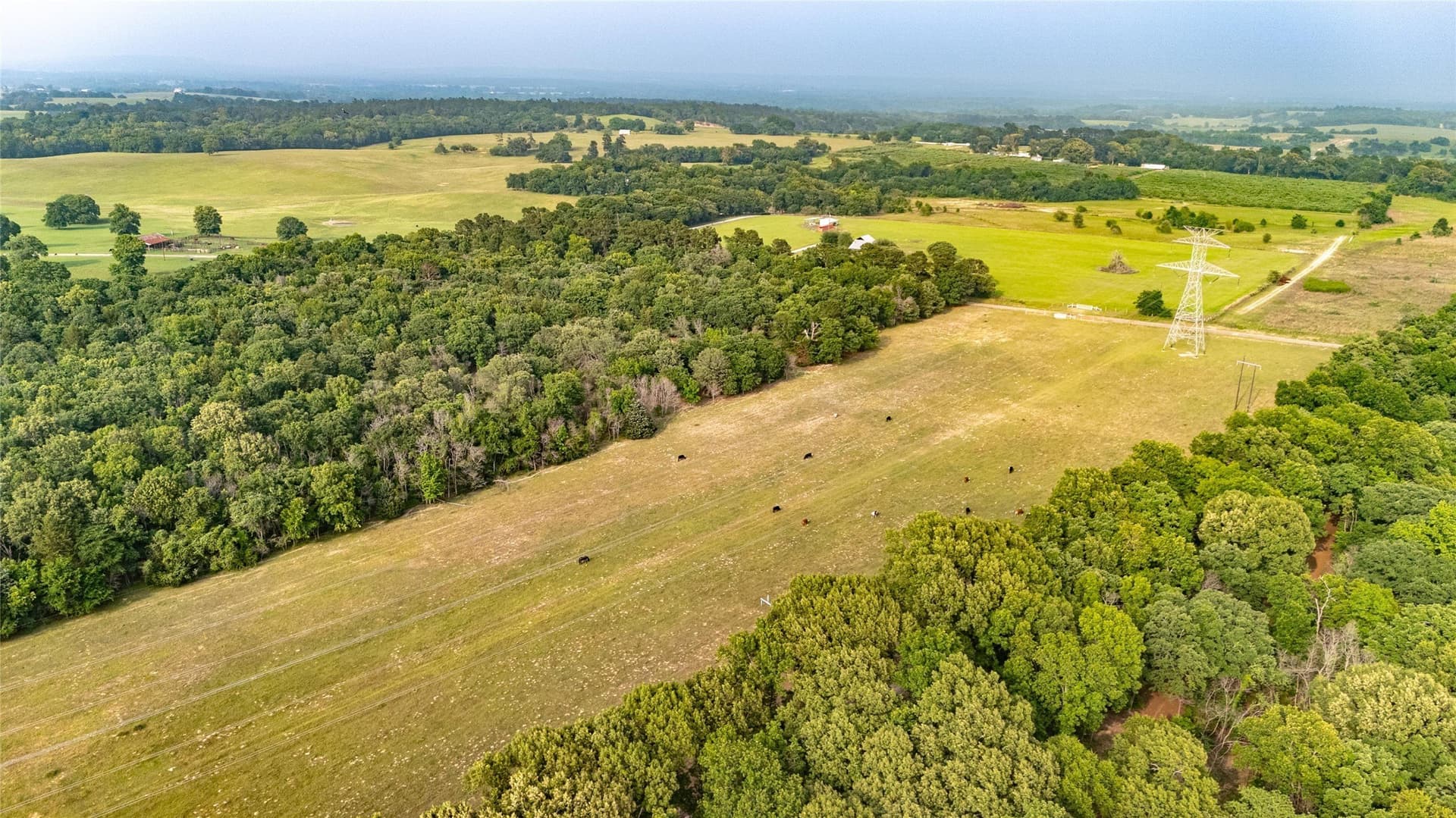 40 acres in Henderson County - photo 9