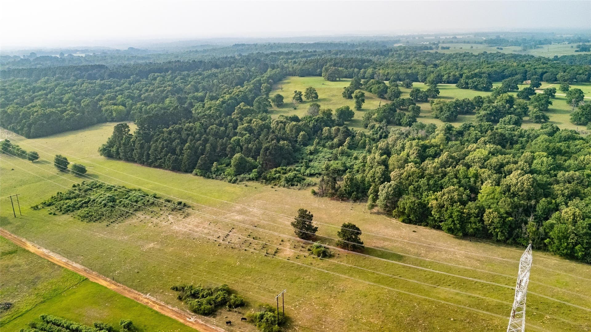 40 acres in Henderson County - photo 8
