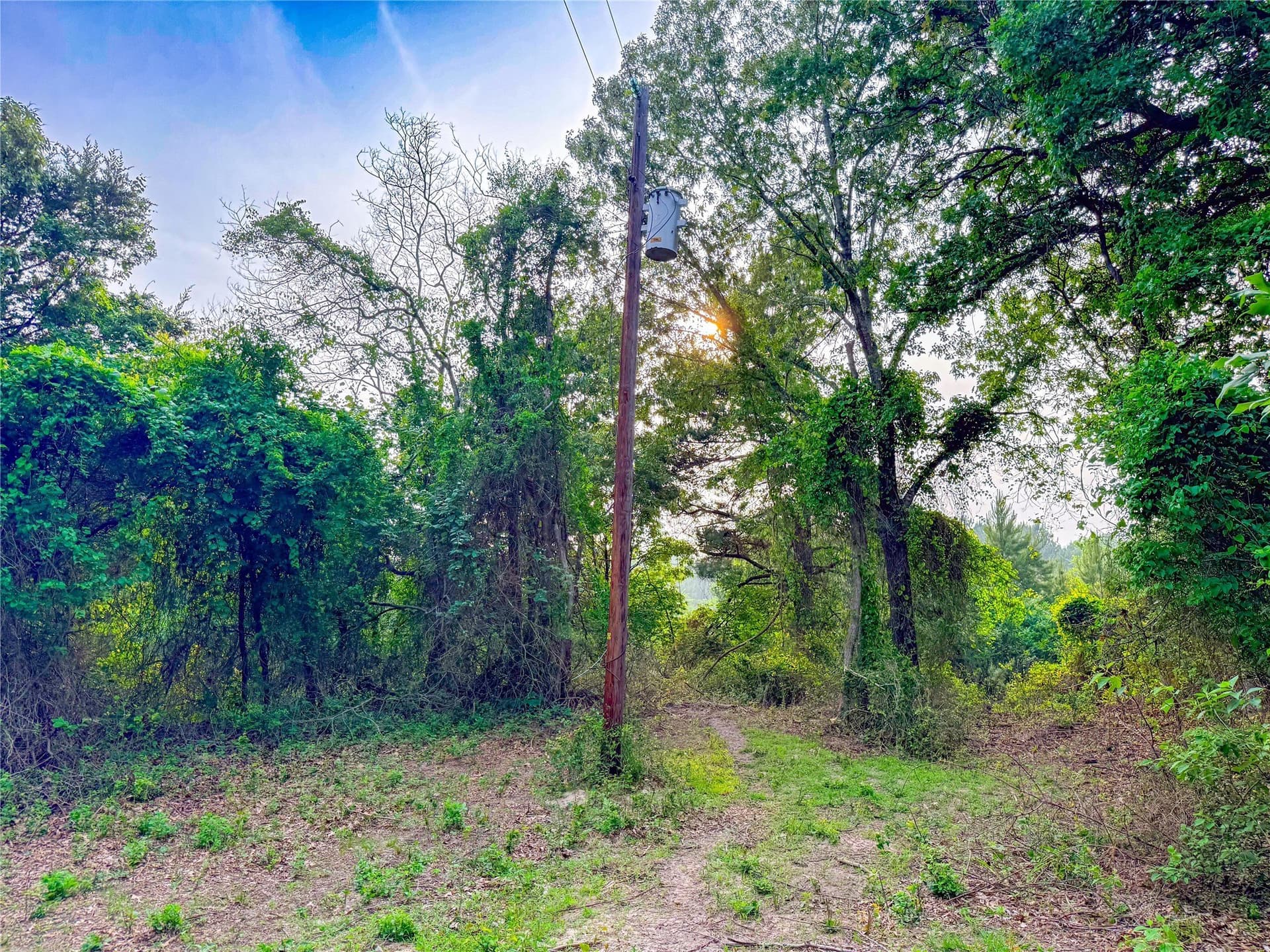 40 acres in Henderson County - photo 29