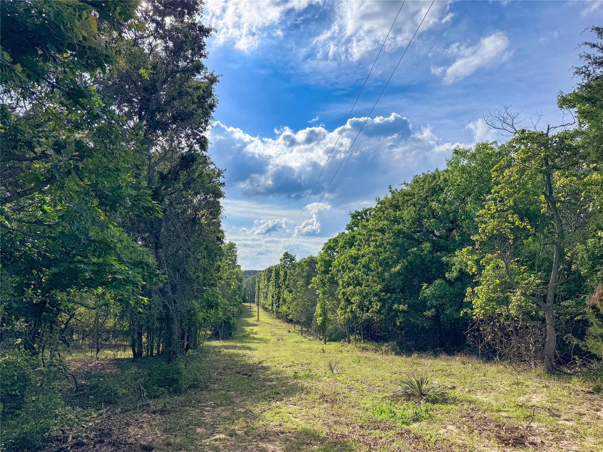 40 acres in Henderson County - photo 22