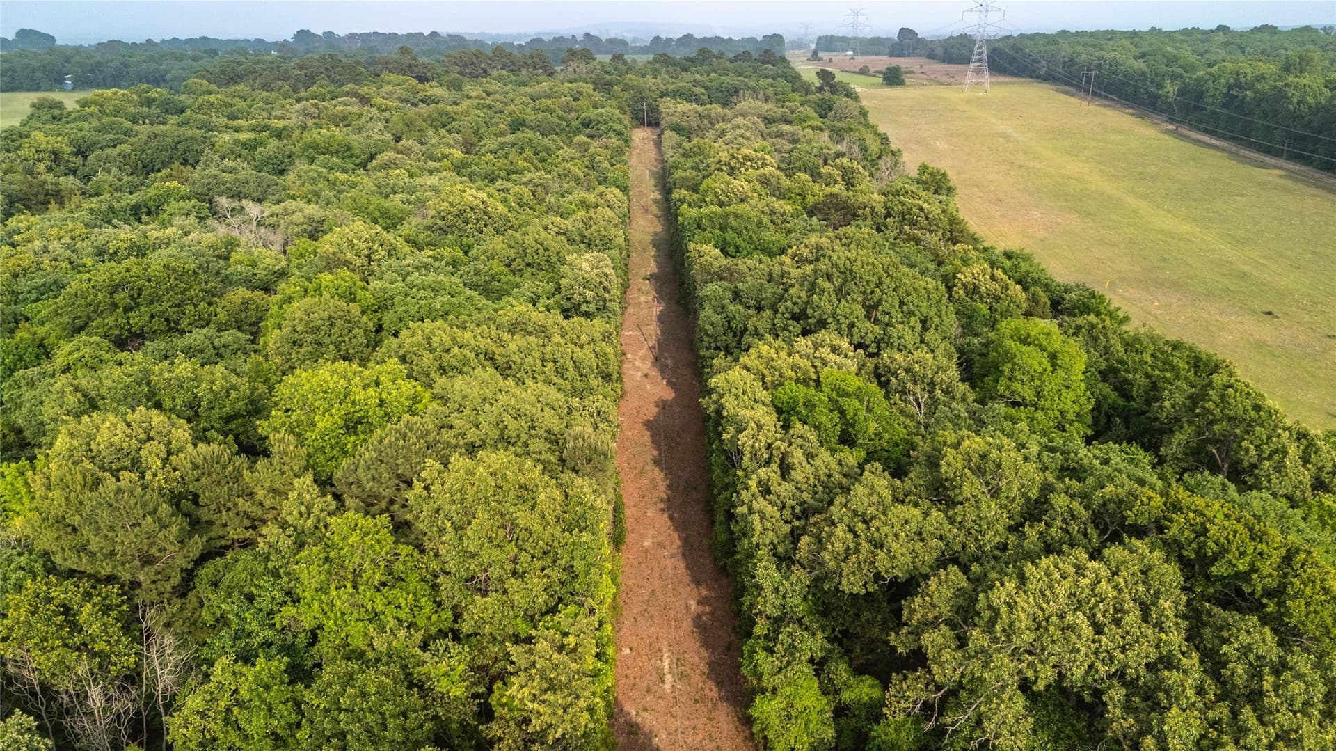 40 acres in Henderson County - photo 16