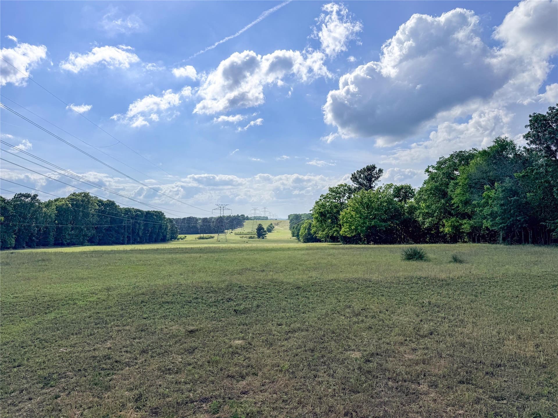 40 acres in Henderson County - photo 18
