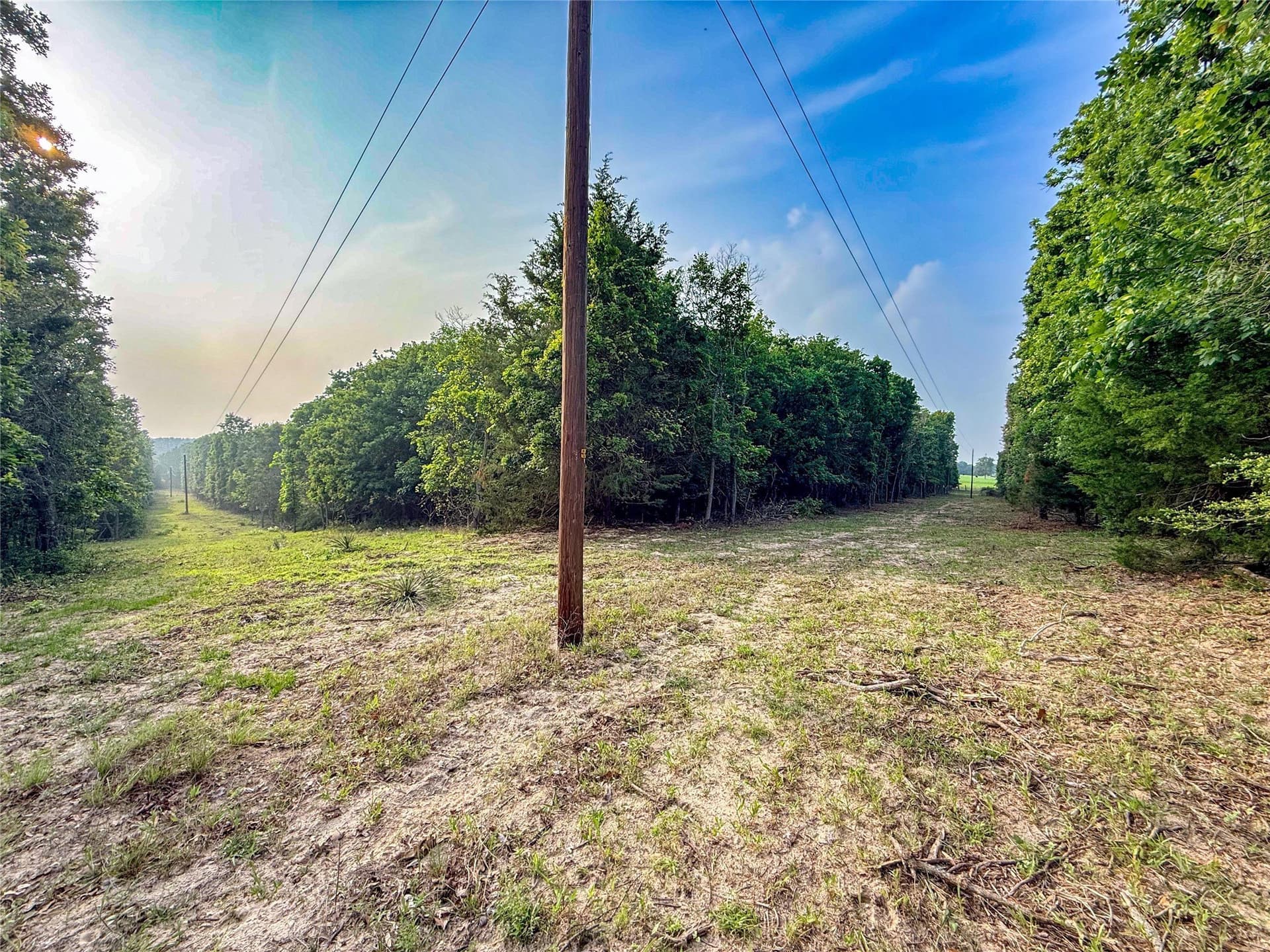 40 acres in Henderson County - photo 27