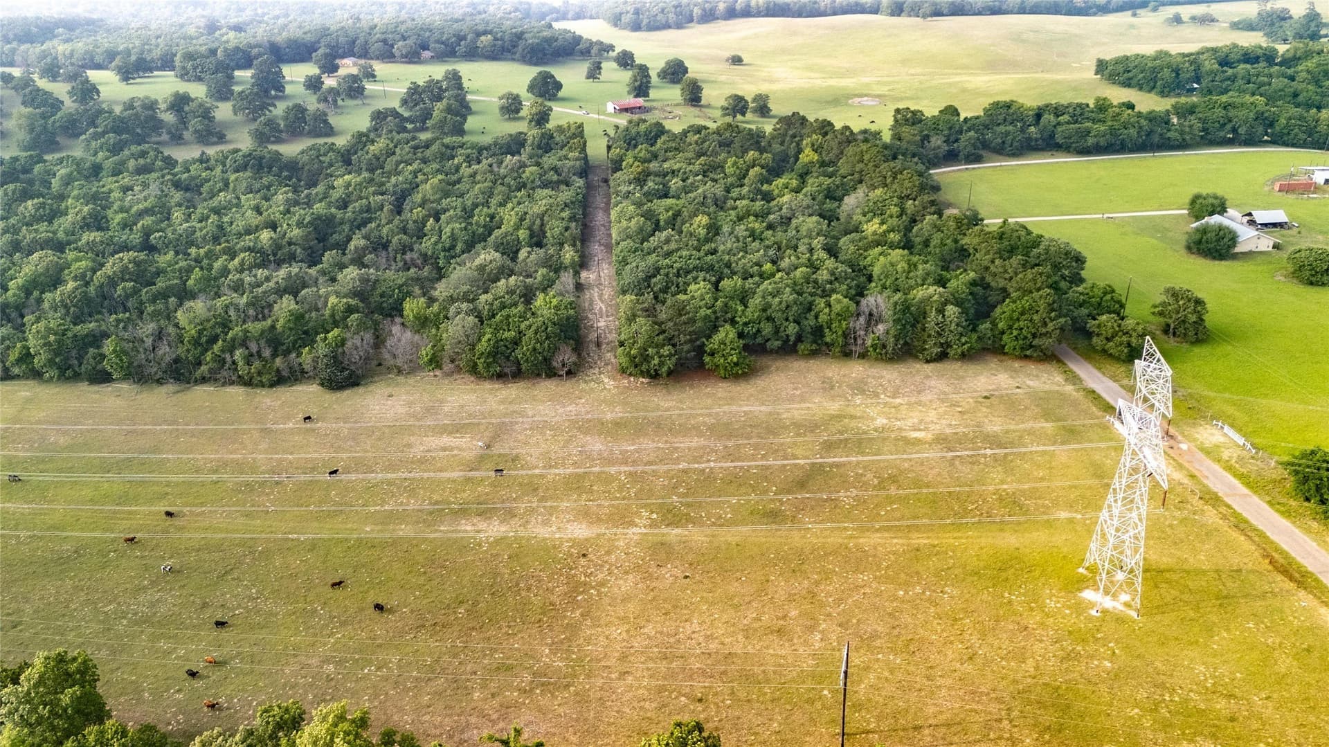 40 acres in Henderson County - photo 10