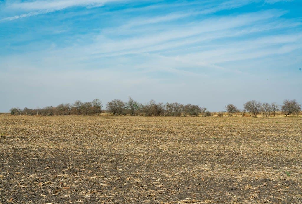 116.68 acres in Travis County - photo 9