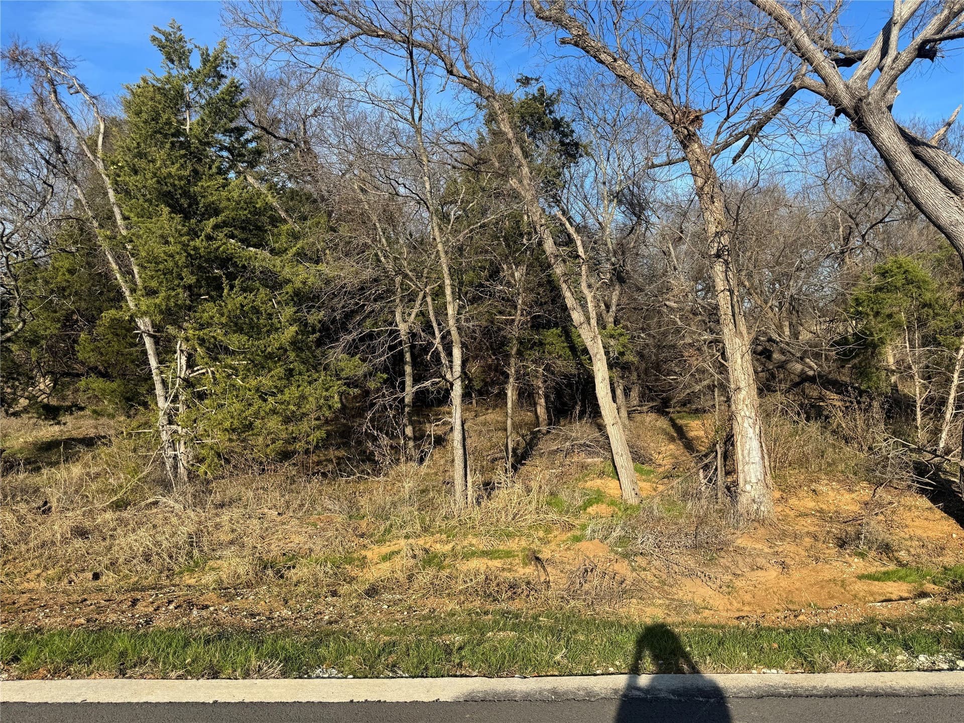 0.22 acres in Grayson County