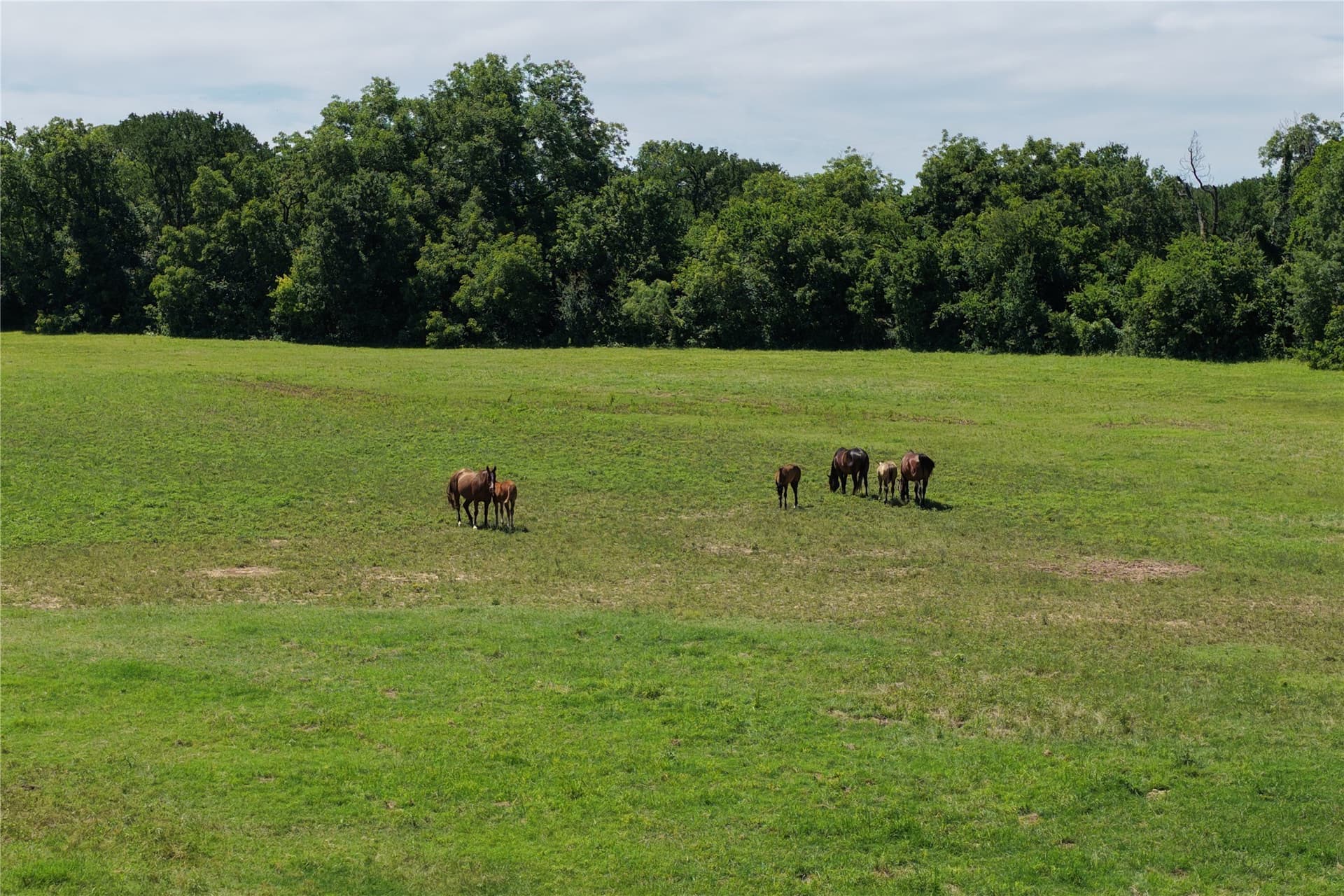 21.63 acres in Comanche County - photo 39