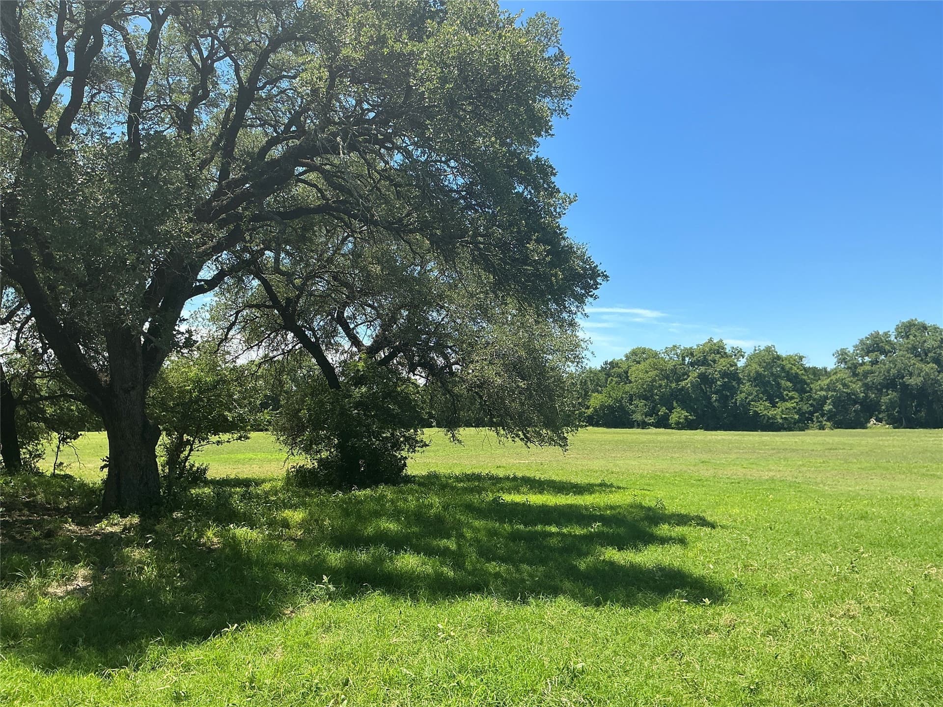 21.63 acres in Comanche County - photo 38
