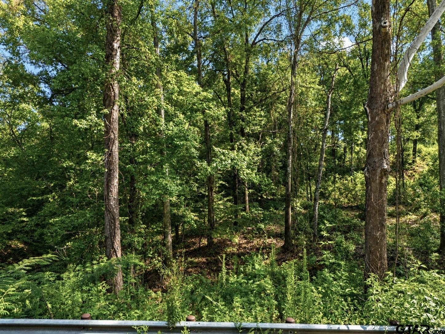 2.88 acres in Anderson County - photo 4