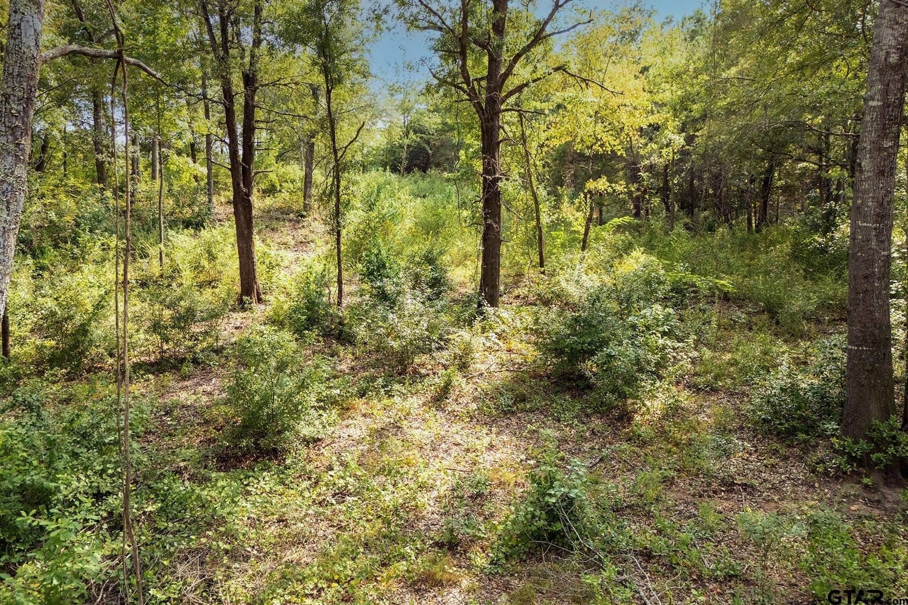 2.88 acres in Anderson County - photo 3