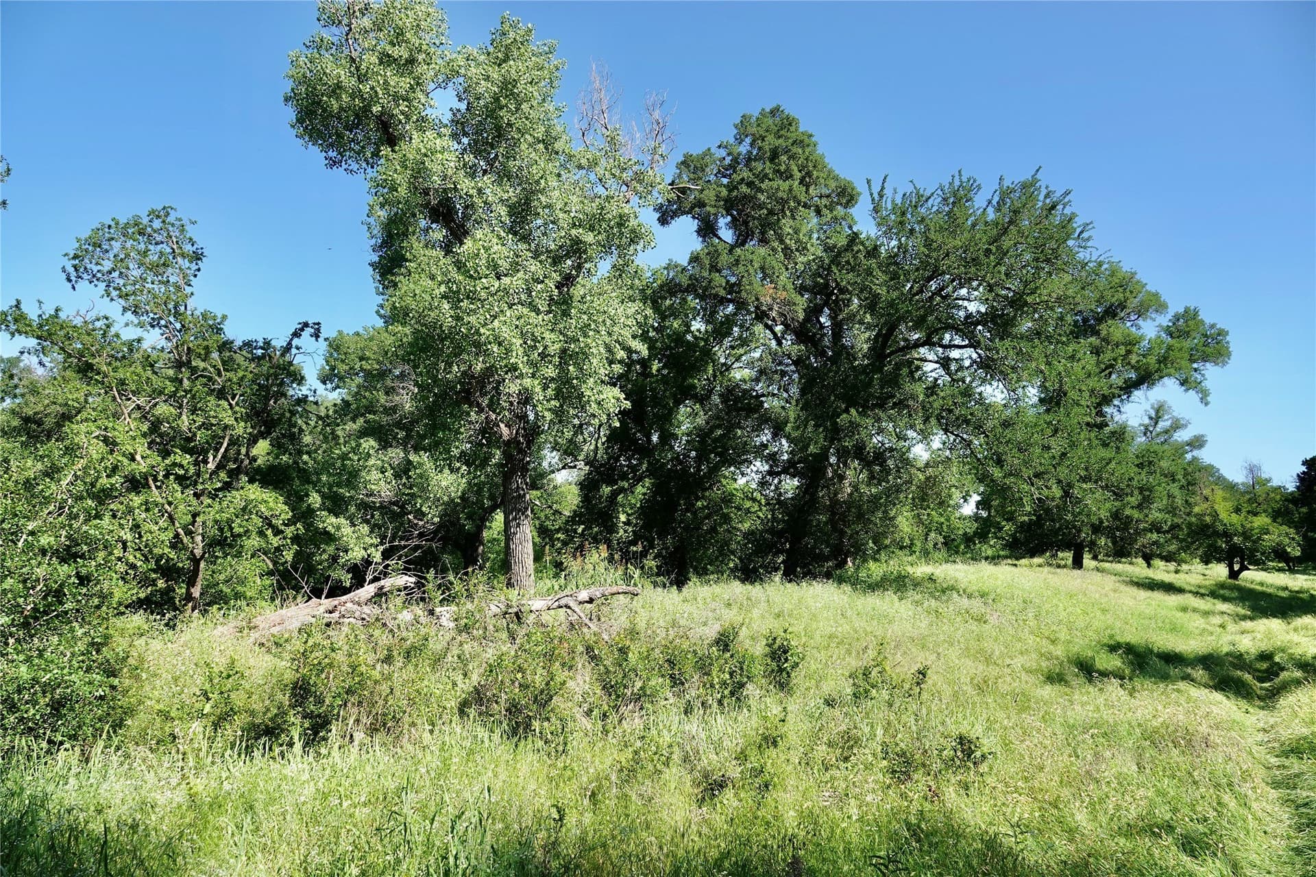 20 acres in Mills County - photo 31