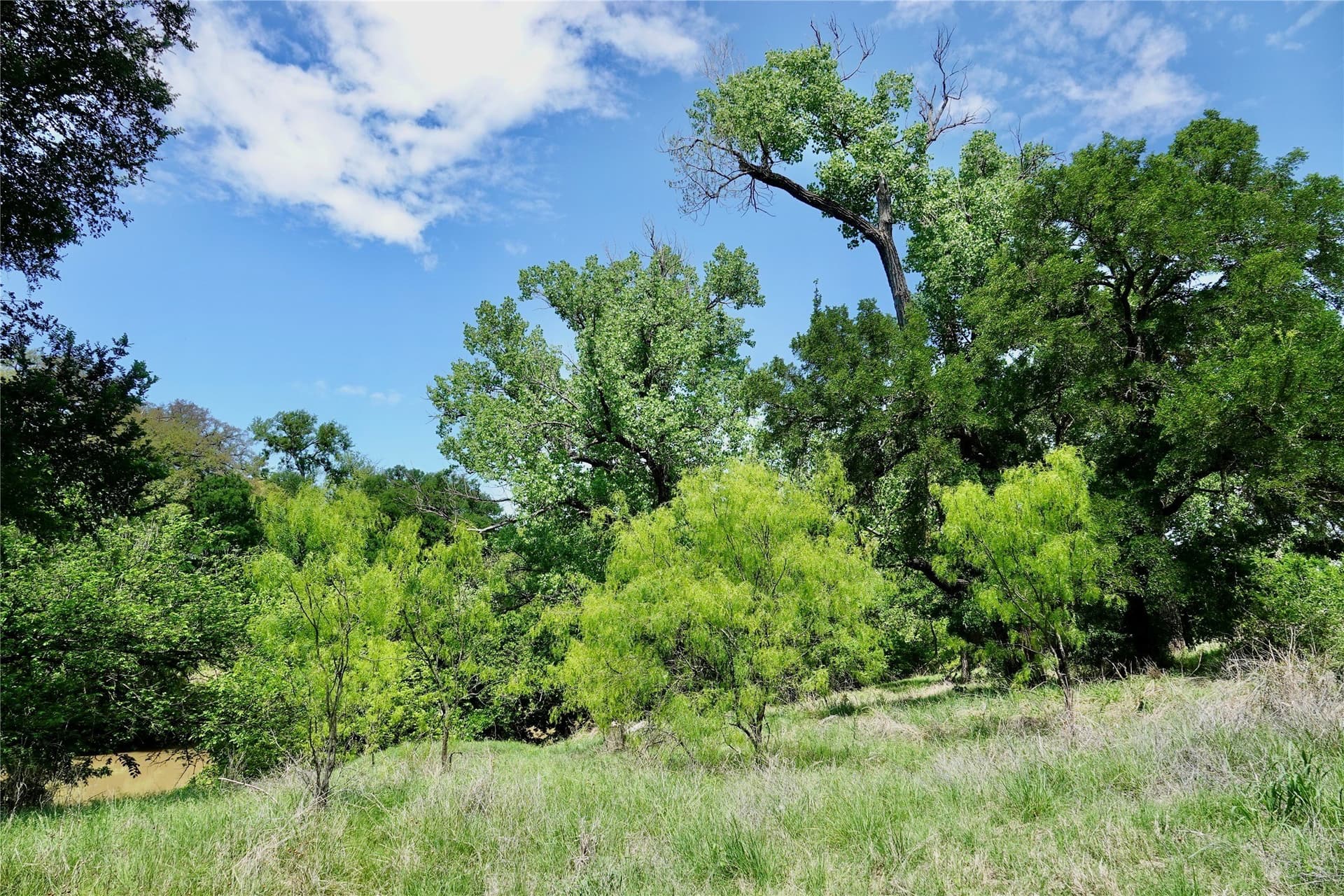 20 acres in Mills County - photo 34