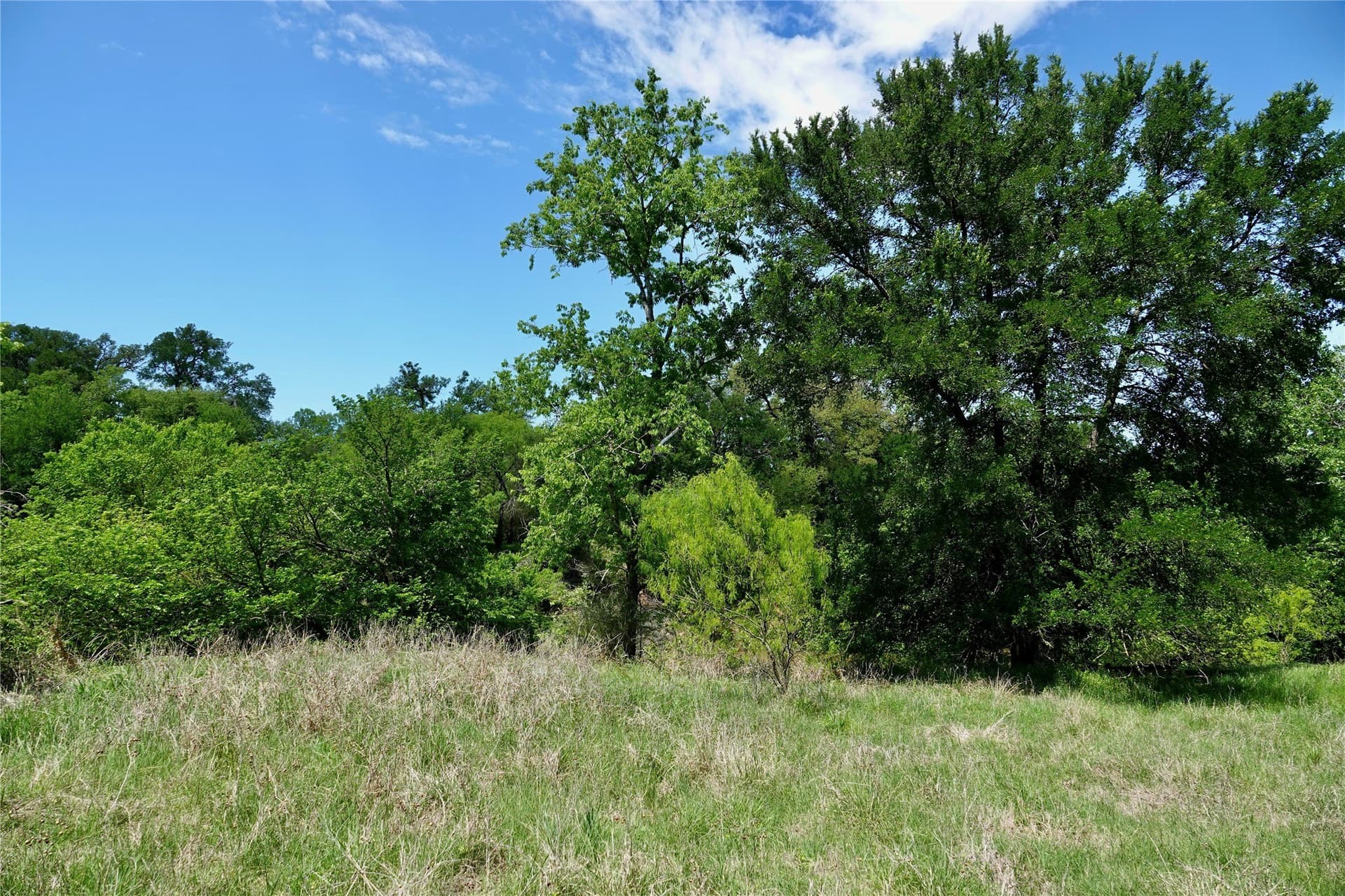 20 acres in Mills County - photo 29