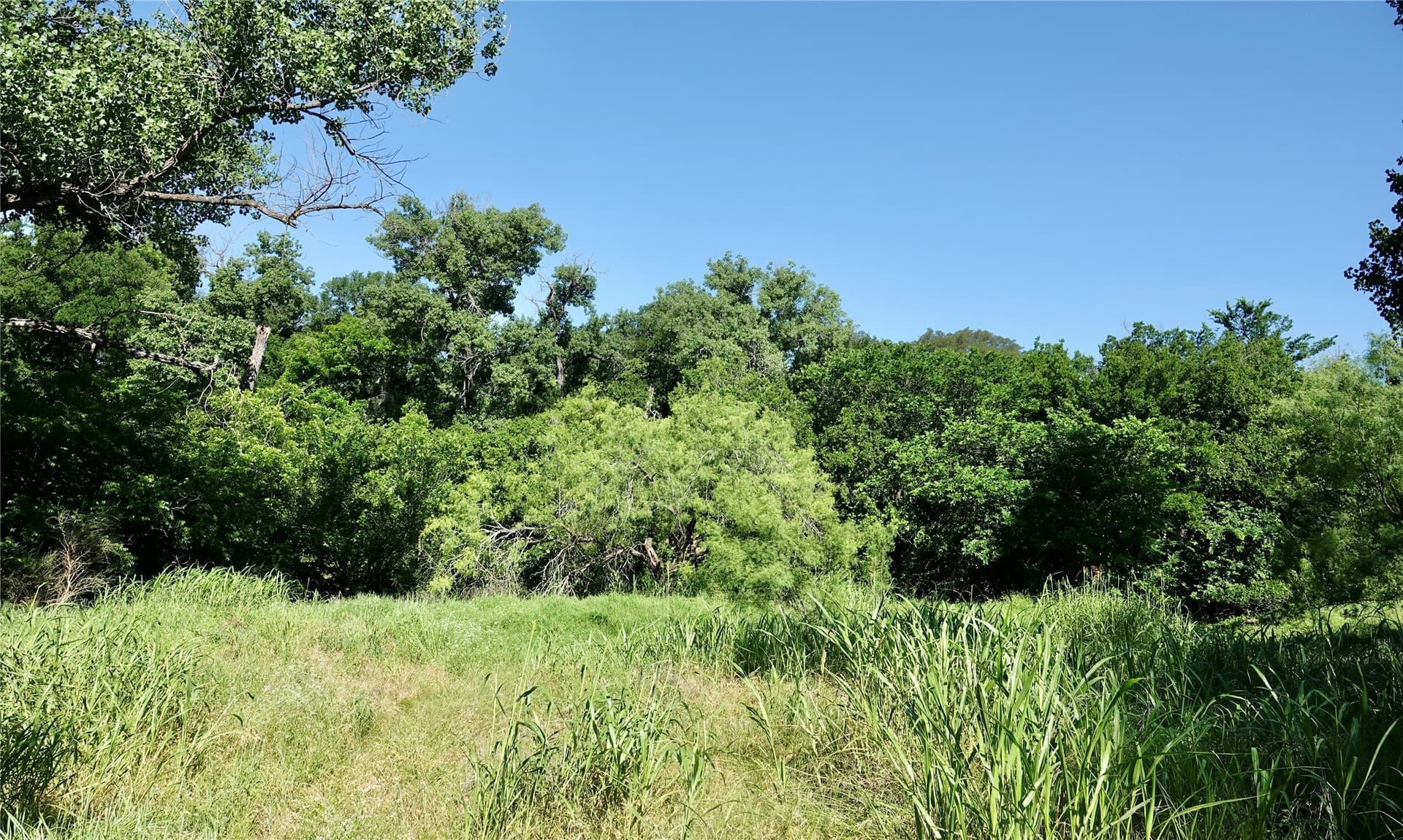 20 acres in Mills County - photo 33