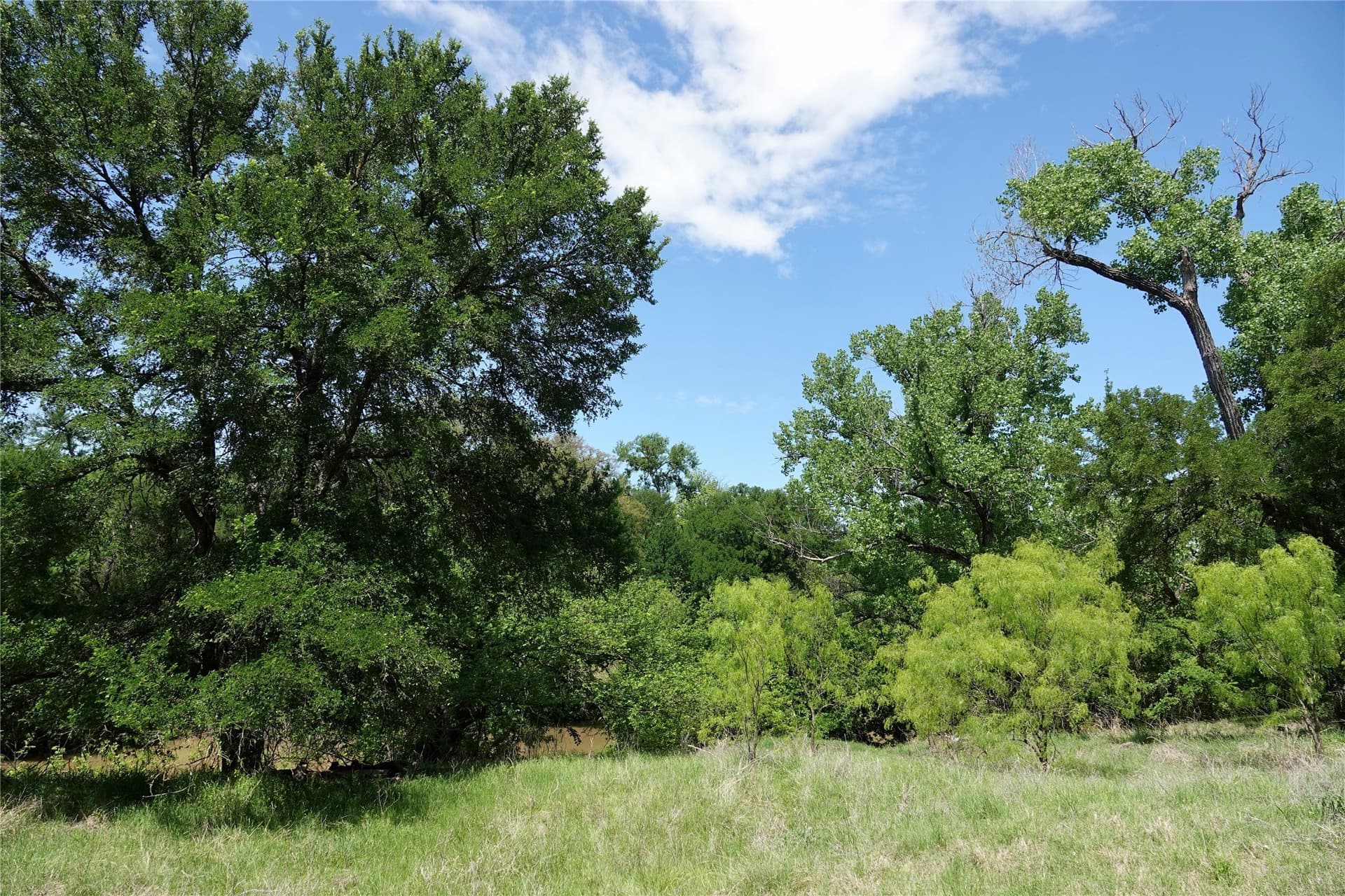 20 acres in Mills County - photo 36