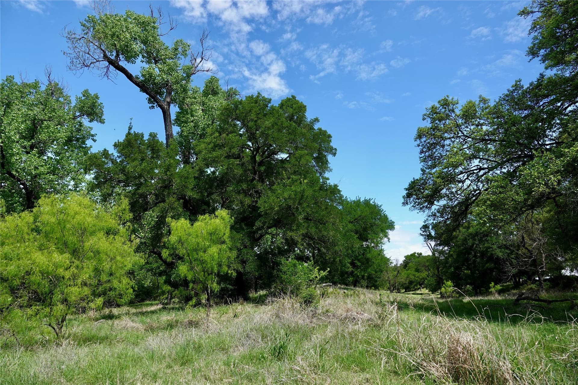 20 acres in Mills County - photo 30