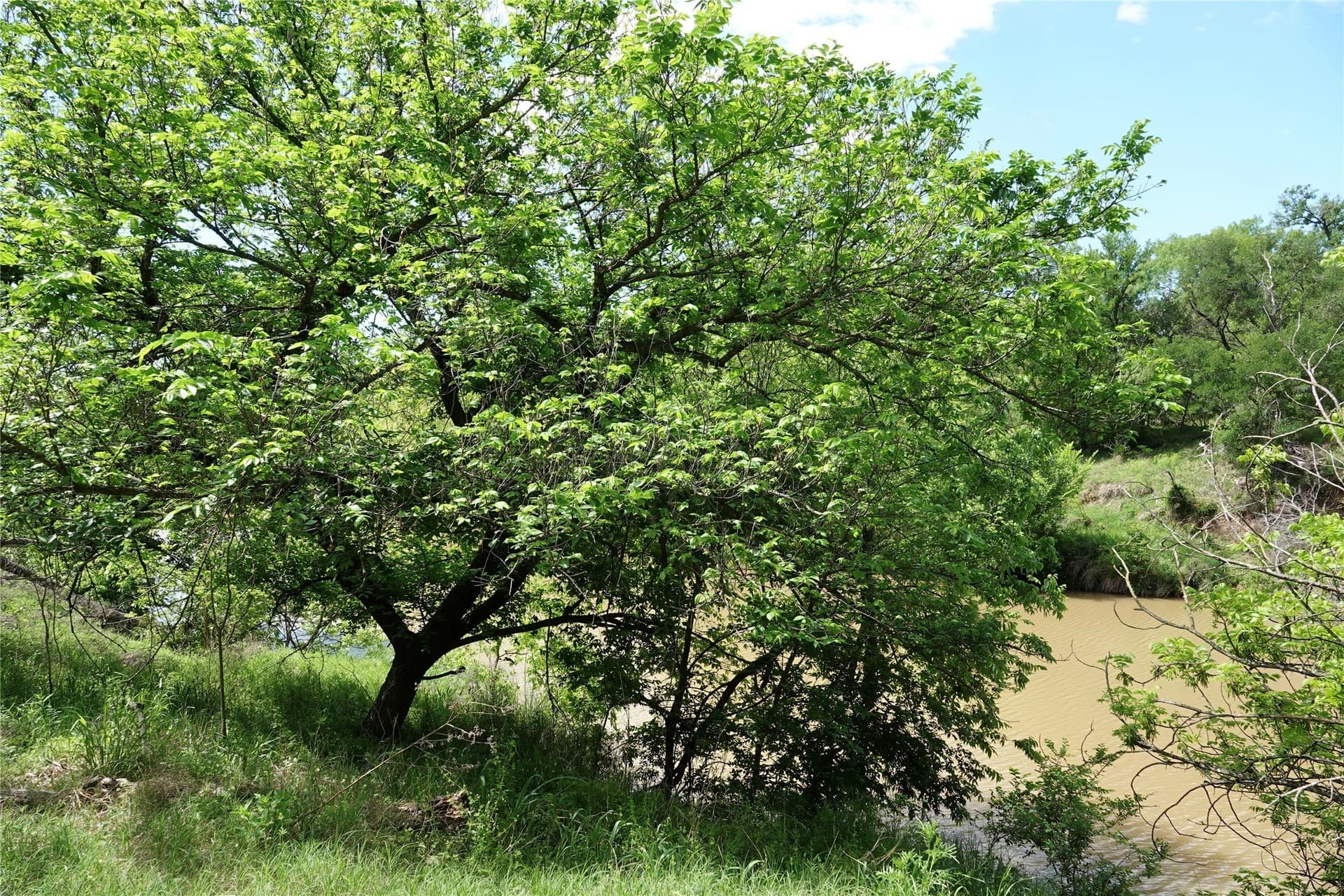 20 acres in Mills County - photo 22