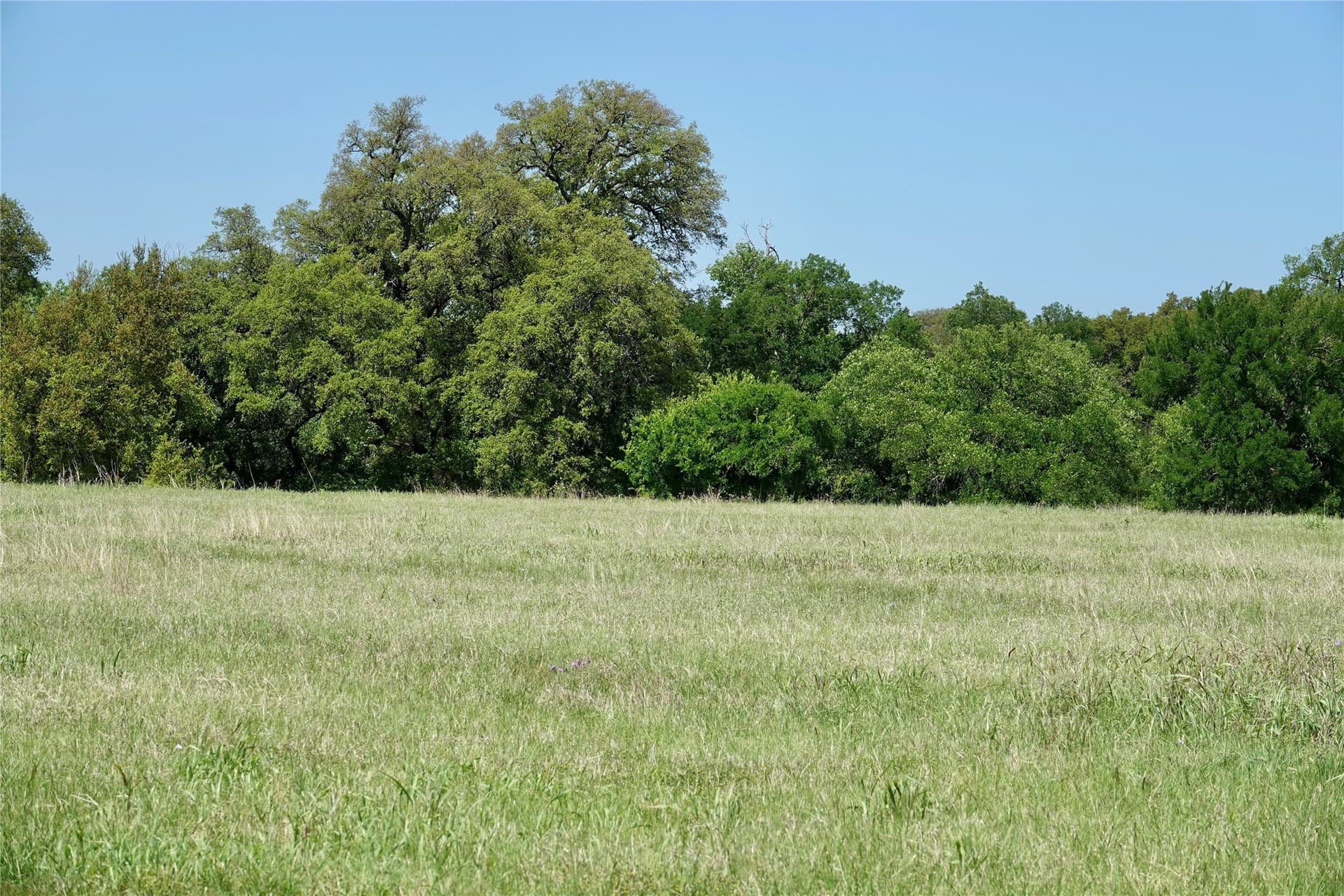20 acres in Mills County - photo 37