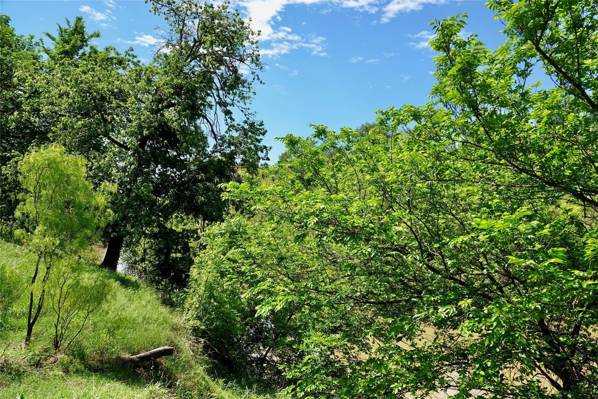 20 acres in Mills County - photo 25