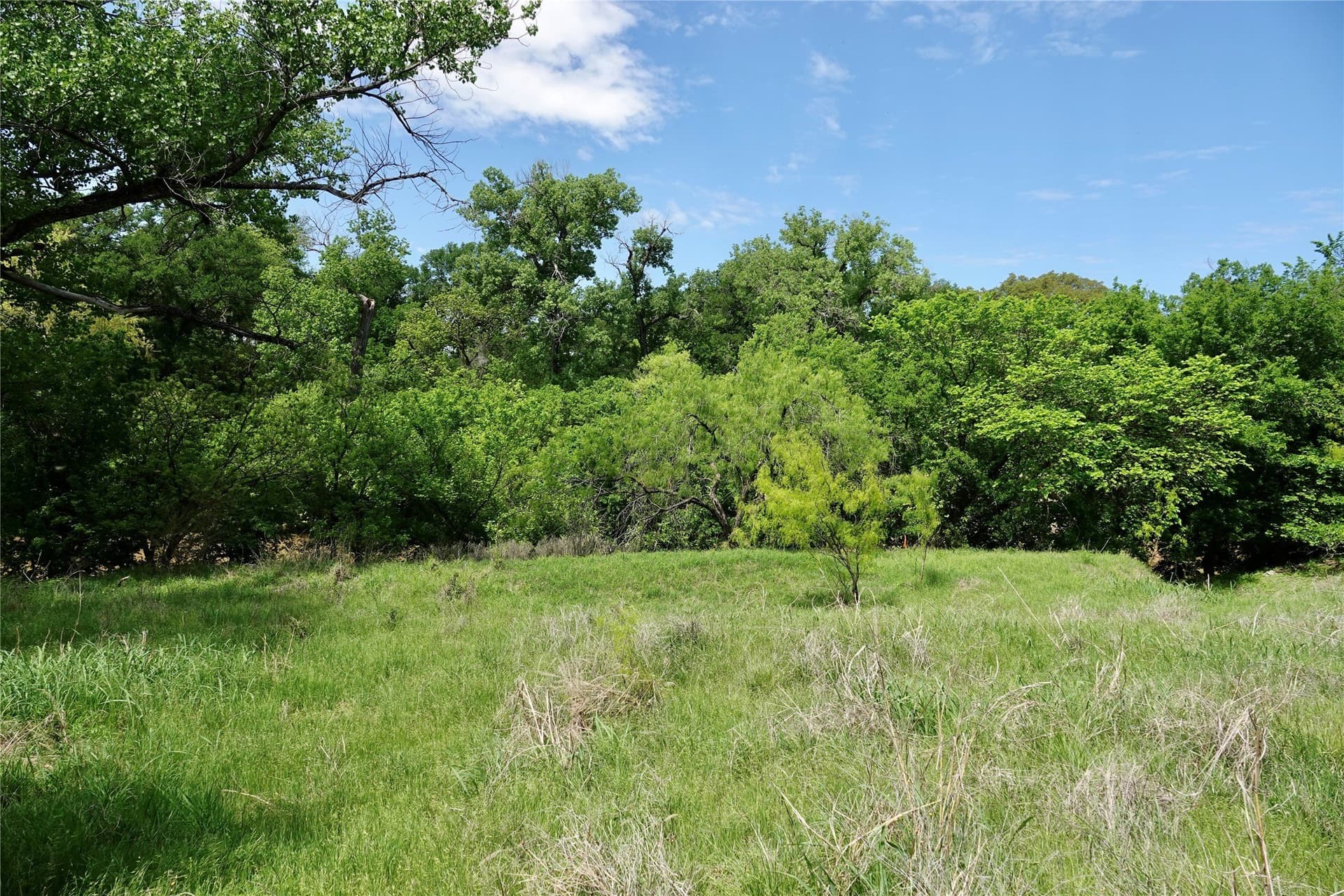 20 acres in Mills County - photo 17