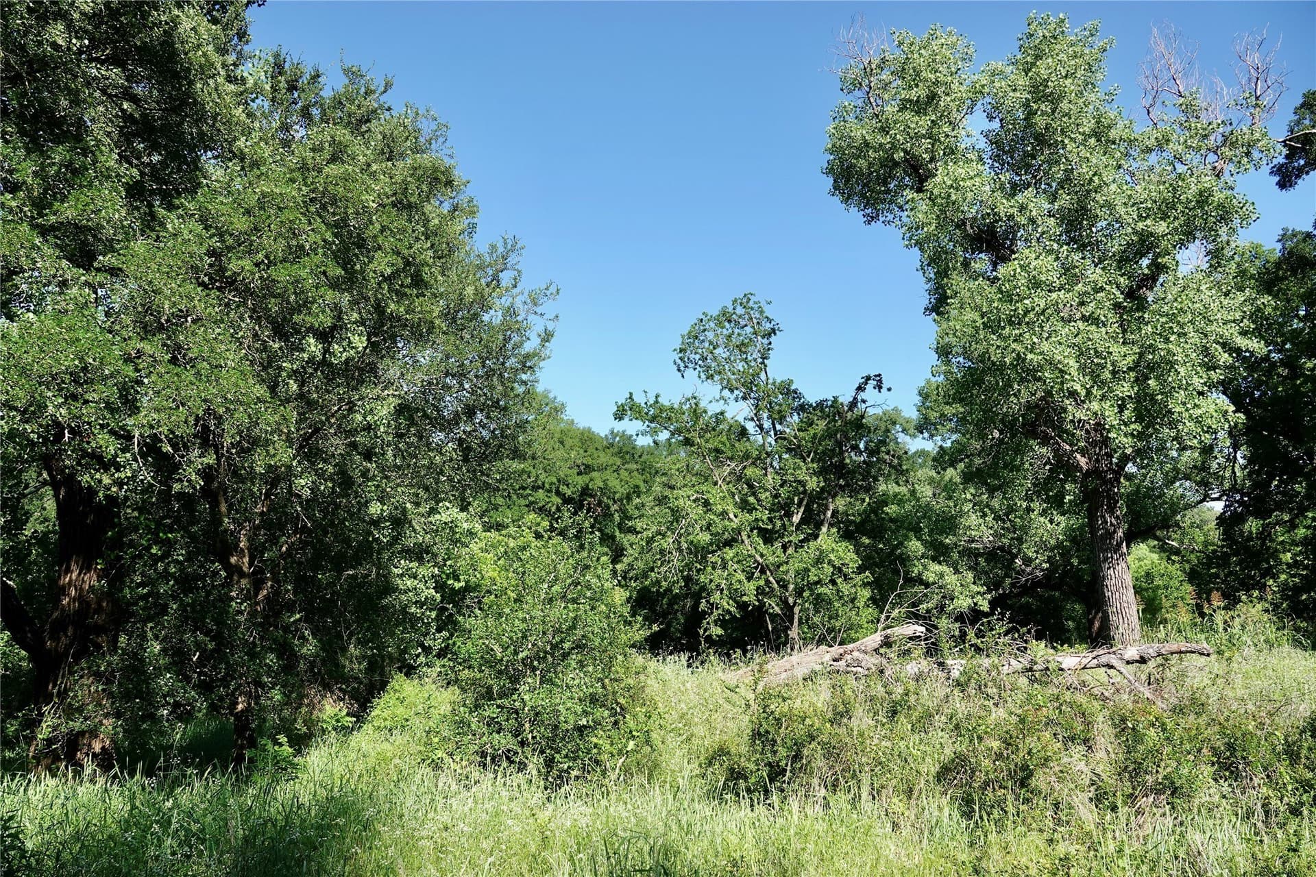 20 acres in Mills County - photo 24