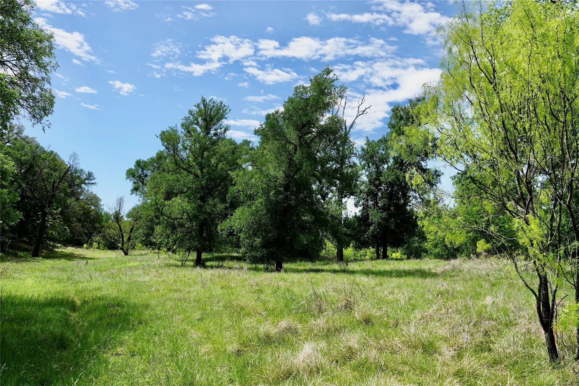 20 acres in Mills County - photo 16
