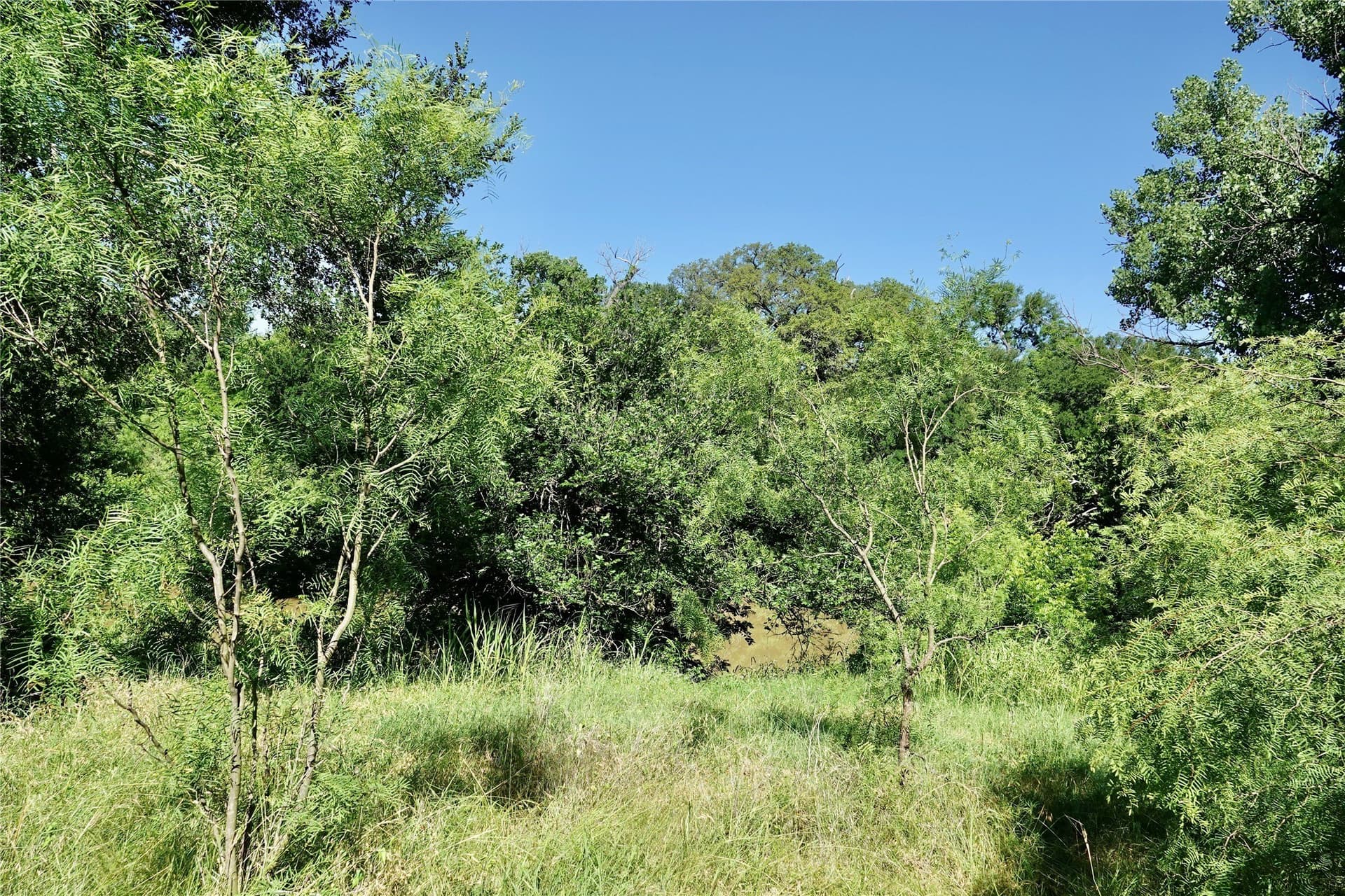 20 acres in Mills County - photo 32
