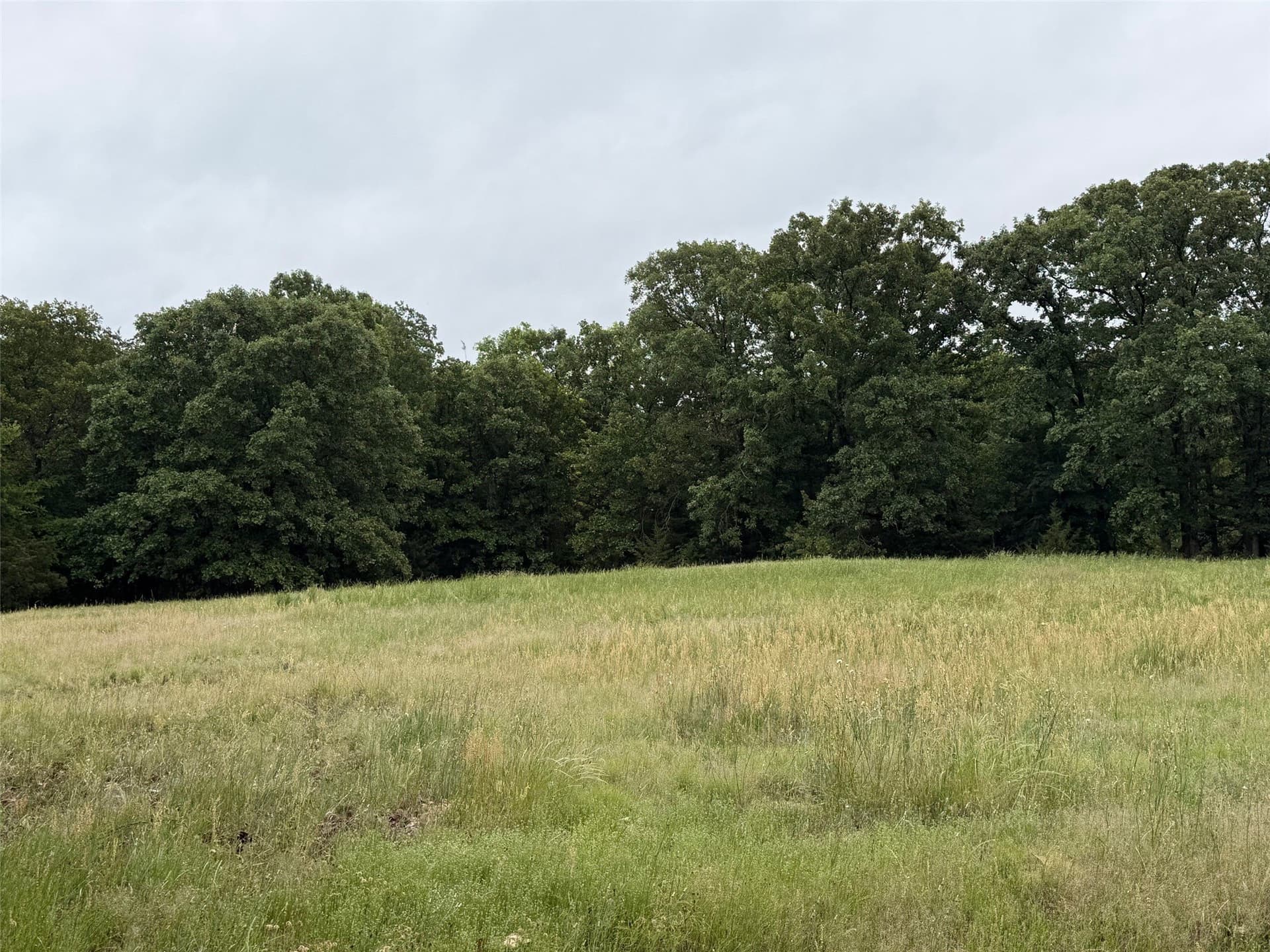 11.8 acres in Lamar County - photo 6