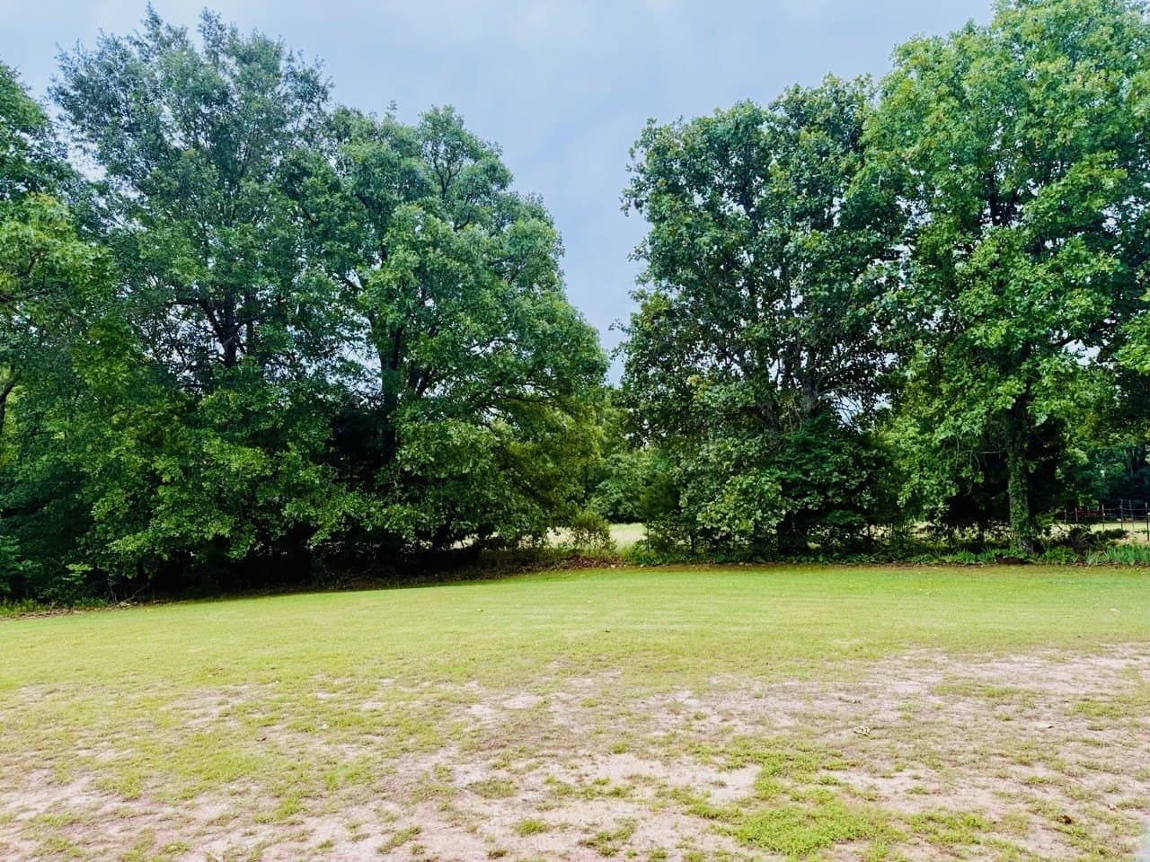 11.8 acres in Lamar County - photo 4