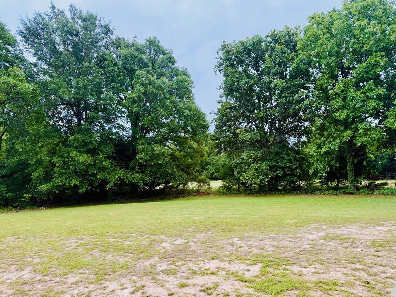11.8 acres in Lamar County - photo 3
