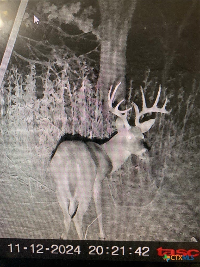 5.1 acres in Lampasas County - photo 24