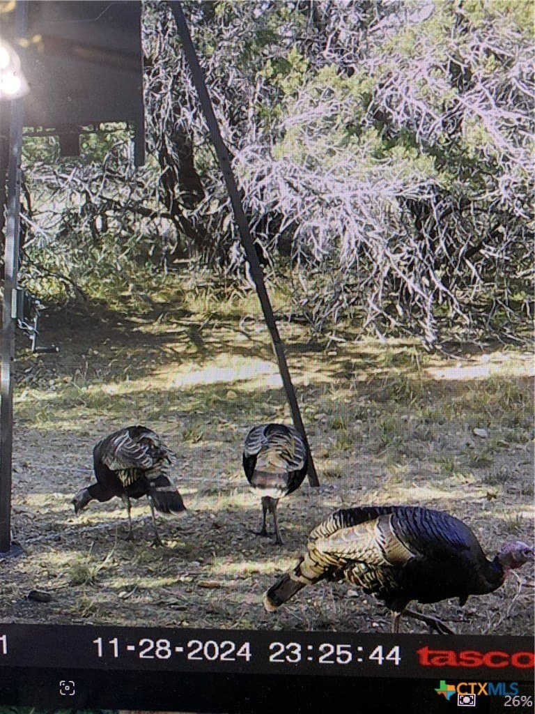 5.1 acres in Lampasas County - photo 25