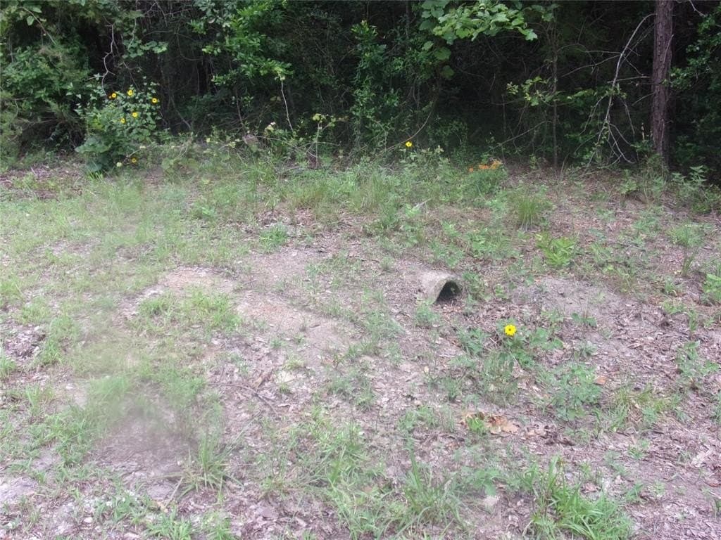 0.23 acres in Van Zandt County gallery image 2