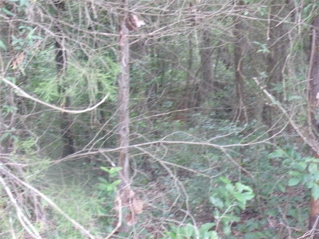 0.23 acres in Van Zandt County gallery image 3