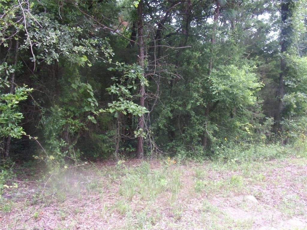 0.23 acres in Van Zandt County featured view