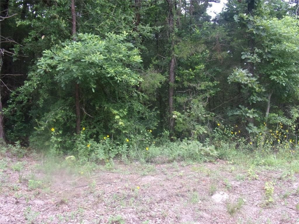 0.23 acres in Van Zandt County gallery image 4