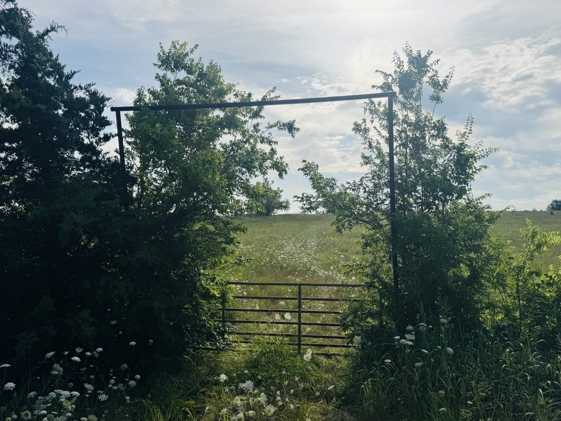 164.6 acres in Lamar County - photo 18