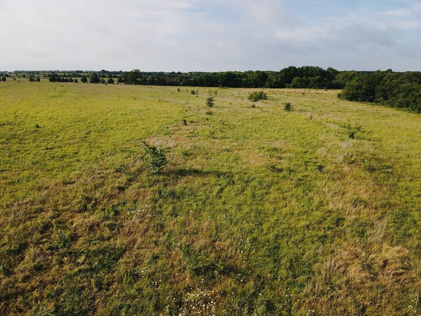 164.6 acres in Lamar County - photo 5