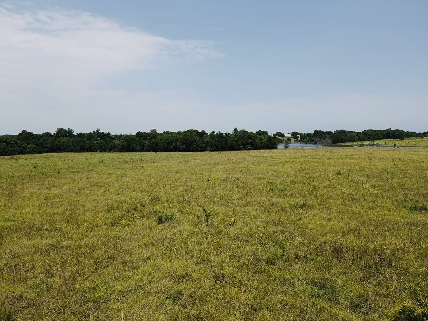 164.6 acres in Lamar County - photo 11