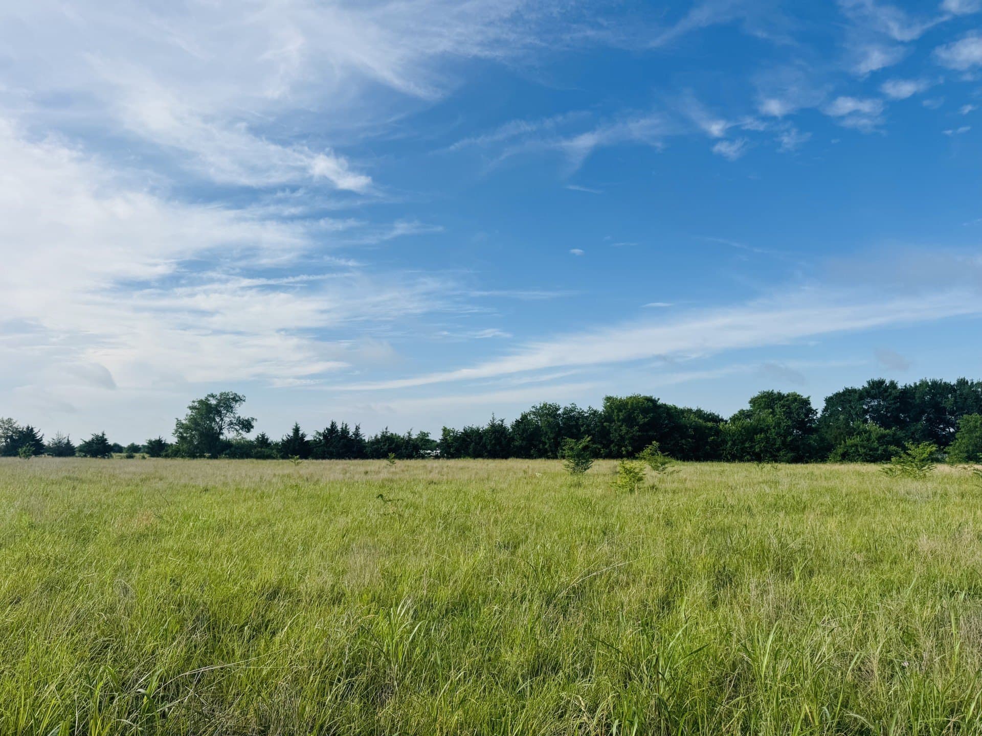 164.6 acres in Lamar County - photo 16