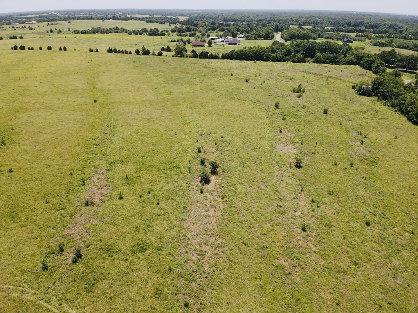 164.6 acres in Lamar County - photo 6