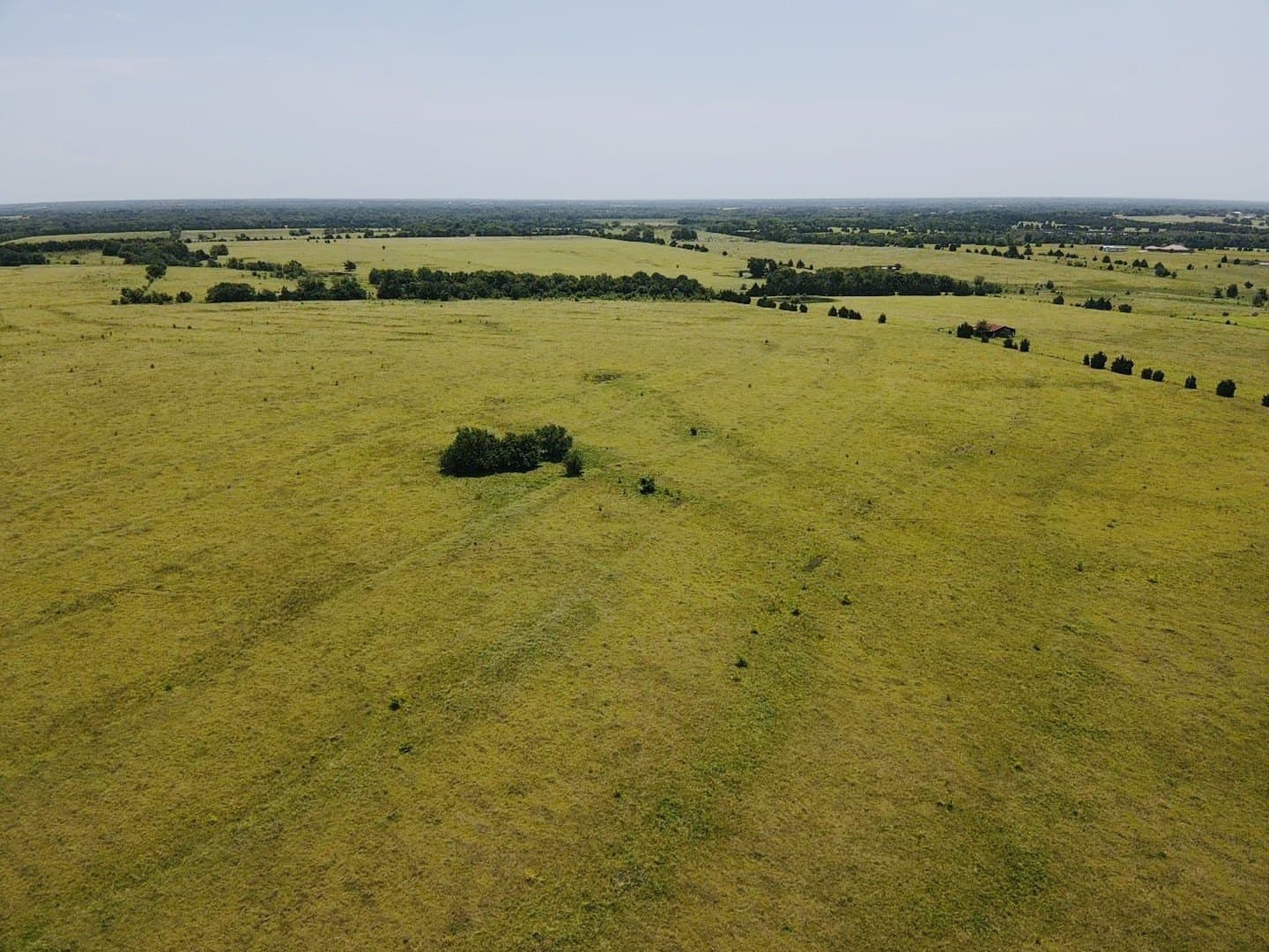 164.6 acres in Lamar County - photo 9