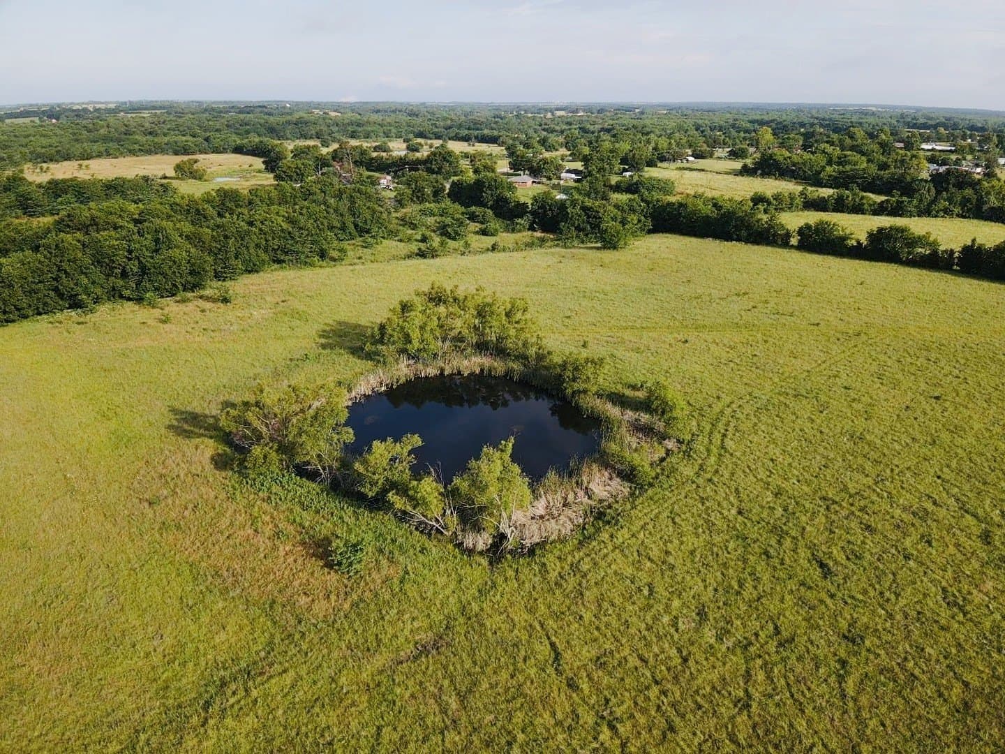 164.6 acres in Lamar County - photo 10