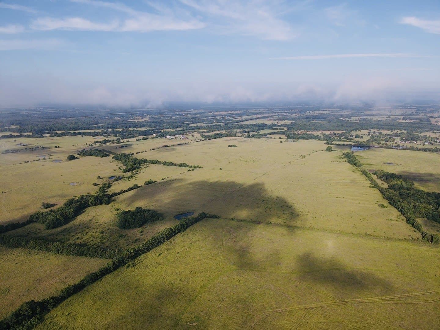 164.6 acres in Lamar County