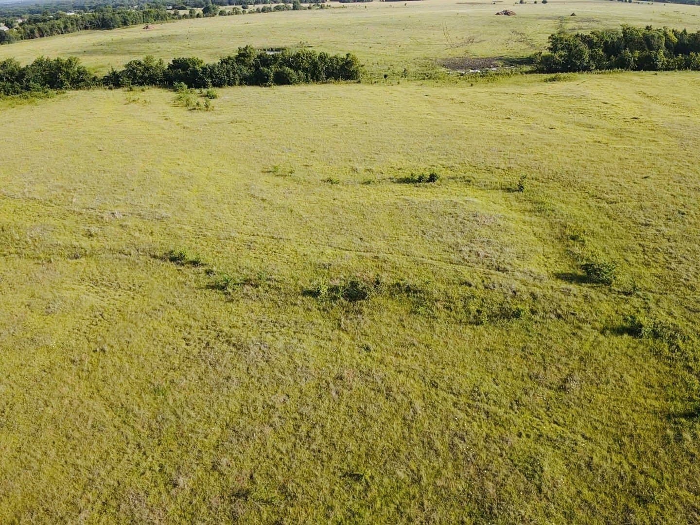 164.6 acres in Lamar County featured view