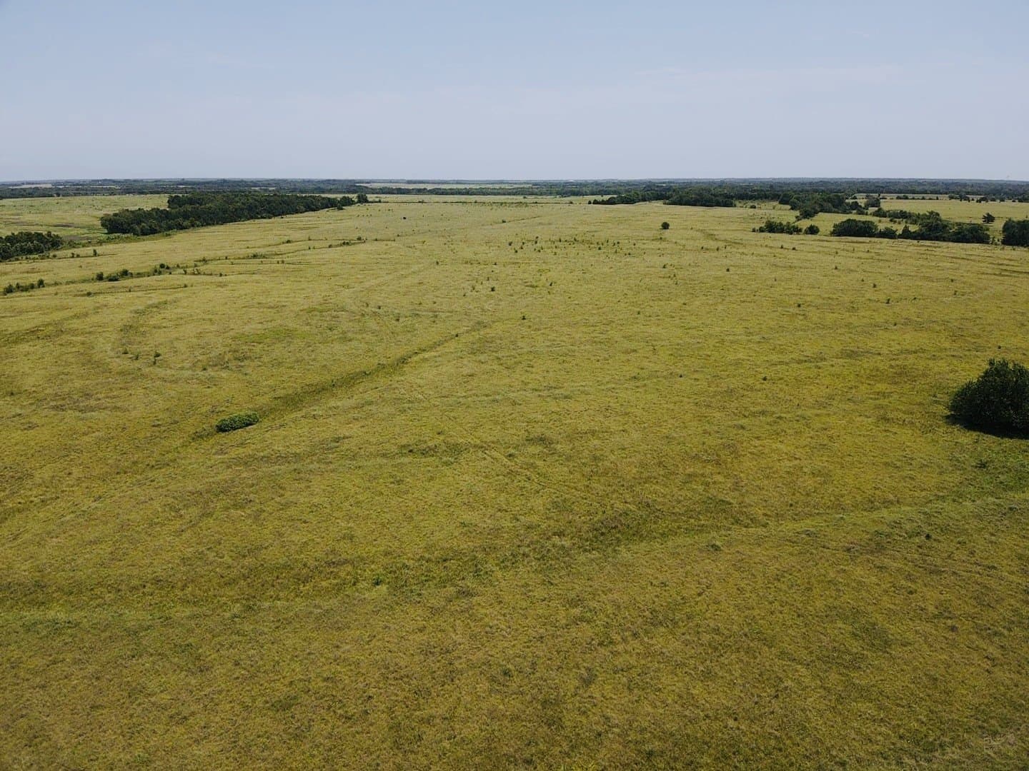 164.6 acres in Lamar County - photo 8